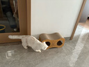 萌嘟星宠 猫抓板猫窝猫隧道猫玩具猫沙发别墅立式磨爪猫咪用品 小猫抱鱼款 实拍图
