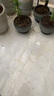 全棉时代【丁禹兮推荐】女士休闲袜全棉抗菌袜子女中筒袜 实拍图