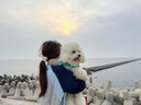 伯纳天纯小型成犬粮泰迪比熊博美天然粮樱桃味狗粮10kg/20斤 实拍图