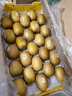 佳沛（zespri）新西兰  阳光金奇异果25-27粒原箱特大果单果约122-146g  猕猴桃 实拍图