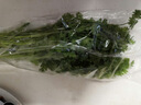 带根香菜100g 实拍图