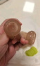 世喜咬咬乐4月+婴儿吃水果宝宝安抚牙胶果蔬推进式辅食器S码+咬袋L码 实拍图