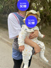 英氏（YEEHOO）婴儿衣服新生儿连体衣男女宝宝纯棉新疆棉婴幼儿居家爬服四季款 丛林鹦鹉【襟蛤款】 90cm (建议1-2岁 9.5-13kg) 实拍图