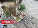 京东京造 经典荞荞枕 100%荞麦壳填充透气高度可调花草枕头枕芯单只装 实拍图