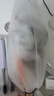 小贝熊【月销过万】小贝熊辅食机婴儿辅食机料理机宝宝迷你电动家用多功能料理机榨汁 【升级6叶刀头】网红绿（标配） 实拍图