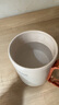 乐扣乐扣 迷你养生壶烧水杯 养生杯迷你花茶壶便携式烧水壶电煮杯电炖杯电热水杯烧水壶陶瓷覆层内胆350ML 实拍图