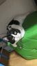 素力高（SolidGold）进口高蛋白金装金素鸡长肉营养成猫幼猫猫粮12磅/5.44kg 实拍图