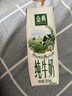 伊利金典纯牛奶整箱 250ml*16盒 3.6g乳蛋白 礼盒装 实拍图