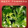 同仁堂北京同仁堂艾草泡脚药包艾叶泡脚包足浴粉湿寒男女士10g*50包/袋 实拍图