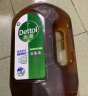 滴露（Dettol）消毒液衣物除菌液洗衣消毒水1.8L杀菌除螨 家居宠物消毒除菌  实拍图