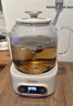 美的（Midea）花漾0胶水全玻璃全自动养生壶 办公室多功能煮茶壶 烧水壶恒温电热水壶煮茶器花茶壶1L YS10B101 实拍图