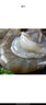 PHUKEY SEA大号厄瓜多尔盐冻南美白对虾 只只分离 海鲜水产 3斤 (45-60只) 实拍图