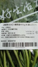 【嫩芽尖尖】菠菜苗（长度≤20cm）400g 实拍图
