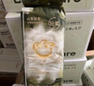 babycare金山茶花纸尿裤L40片(9-14kg)婴儿尿不湿【新老混发】 实拍图