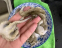 美加佳 三去迷你章鱼仔 净重1斤 火锅八爪鱼 去牙去脏小章鱼 海鲜水产 实拍图