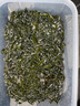 赶海弟【潍坊产地】海带丝500g盐渍新鲜昆布丝 凉拌菜火锅 源头直发包邮 实拍图