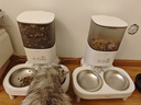 霍曼（Homerun）宠物智能自动喂食器猫粮狗粮定时猫咪自动投食机不锈钢双碗增高版 实拍图