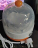 小熊（Bear）煮蛋器蒸蛋器单层家用自动断电迷你早餐神器鸡蛋羹蒸鸡蛋器蒸蛋机炖蛋器蒸蛋锅防干烧便携式电蒸锅 单层 实拍图
