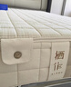栖作【坚果】记忆棉0胶水独袋弹簧可拆卸护脊硬床垫1.2×2米偏硬 实拍图