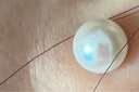 赫莎6-7mm   AKOYA海水珍珠耳钉小灯泡 耳饰【S925银耳针】 实拍图
