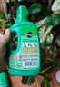 美乐棵植物通用营养液磷酸二氢钾花肥肥料绿萝发财树植物营养液500ML 实拍图