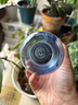 乐基因（Nalgene）美国进口塑料水杯户外运动男女学生夏季耐高温便携刻度杯子500ml 实拍图