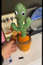 爸爸妈妈模仿会跳舞学说话的仙人掌玩具宝宝婴儿玩具会动的摇摆复读玩偶 实拍图