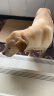 宝路狗粮成犬大型犬狗粮牛肉味15kg均衡营养全价粮30斤【原料透明】 实拍图