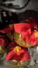 塔牌 陶坛花雕三年 半干型 绍兴黄酒 1.5L*6坛 整箱装 加饭酒 实拍图