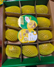 佳沛（zespri）新西兰 阳光金奇异果12粒礼盒特大果单果约122-146g 猕猴桃 水果 实拍图