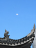TANXIANZHE探险者充气床垫打地铺新款全自动便携睡垫折叠床 实拍图
