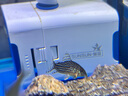 森森（SUNSUN）鱼缸水泵小型潜水泵水循环水族箱过滤泵抽水泵 【升级可底吸】15W流量可调 带水管 实拍图