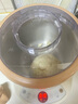 小熊（Bear）和面机 揉面机 厨师机 全自动家用多功能智能活面搅面机 面包面粉发酵醒面 HMJ-A35M1 3.5L 实拍图