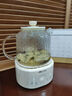 小熊（Bear）全玻璃壶体养生壶恒温壶 办公室多功能煮茶壶花茶壶 0金属养生杯 24h预约24h保温 1L YSH-P10Q7 实拍图