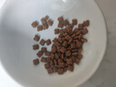 皇家皇家幼猫猫粮 幼猫奶糕 K36 通用粮 4-12月 2KG 实拍图