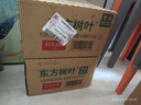 农夫山泉 东方树叶红茶500ml*15瓶 无糖饮料 茶饮料 整箱礼盒 实拍图