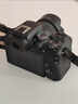 佳能r10 微单相机 轻量小型 APS-C画幅 eos r10 高速连拍 踏青 打鸟vlog数码照相机 EOS R10单机身拆【不含镜头 建议选套机】 官方标配【不含内存卡相机包等必要配件 推荐选套餐 实拍图