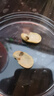 金陵老太太干炒蚕豆200g非油炸香酥原味兰花豆盐焗胡豆五香低脂零食 实拍图