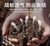墨斗鱼营养土通用土壤种菜兰花多肉盆栽植物种植肥料椰糠泥花土30L 实拍图