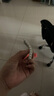 澳贝（auby）婴幼儿童玩具好动小猴健身架宝宝脚踏踩钢琴新生儿礼盒满月礼物 实拍图