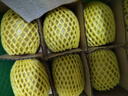 佳沛（zespri）新西兰阳光金奇异果 8个装 特大果单果重约122-146g 水果猕猴桃 实拍图
