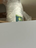 皎洁蚂蚁药一窝全窝非特效端杀虫剂喷雾家用驱除灭杀黑红小蚂蚁500ml 实拍图