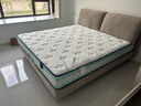 帕沙曼（pashaman）天然乳胶床垫软硬适中席梦思护脊独立弹簧椰棕床垫1.5米床垫 D610 D款23cm（乳胶+独立弹簧+椰棕） 1800mm*2000mm 实拍图