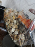 味当家冻干猫咪零食500g12种宠物猫零食冻干多春鱼鸡肉粒冻干拌猫粮零食 实拍图