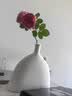 爱已装糖小口扁体陶瓷素胚花瓶 20cm 轻奢客厅插花瓶餐桌摆件节日送礼物 实拍图