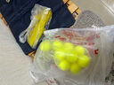 尚烤佳（Suncojia）驱蛇丸 户外驱蛇粉 长效驱蛇药 家用防蛇神器 草坪庭院防蛇咬药丸 实拍图