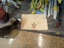 licheers猫抓板剑麻垫贴墙猫咪磨爪子耐磨不掉屑沙发保护墙贴猫玩具40*60 实拍图