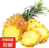 京鲜生  海南金钻凤梨 4粒装 单果2斤起 生鲜水果 实拍图