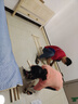 零树实木床主卧双人床卧室家具单人床出租房床【包安装】1.2m*2mGS-02 实拍图