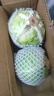 京鲜生 云南新鲜包菜 净重5斤 卷心菜 甘蓝 新鲜蔬菜 源头直发 实拍图
